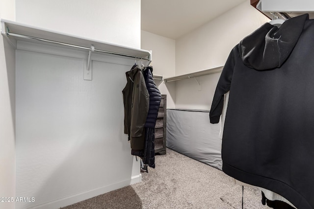 walk in closet featuring carpet floors