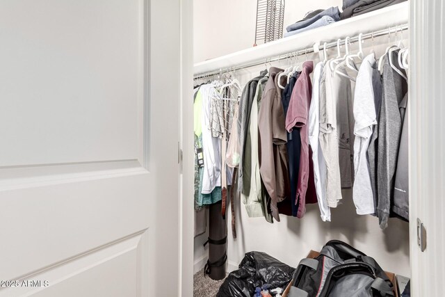 view of spacious closet