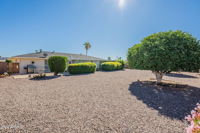 view of yard with a patio area