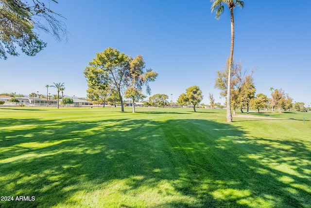 view of community featuring a lawn