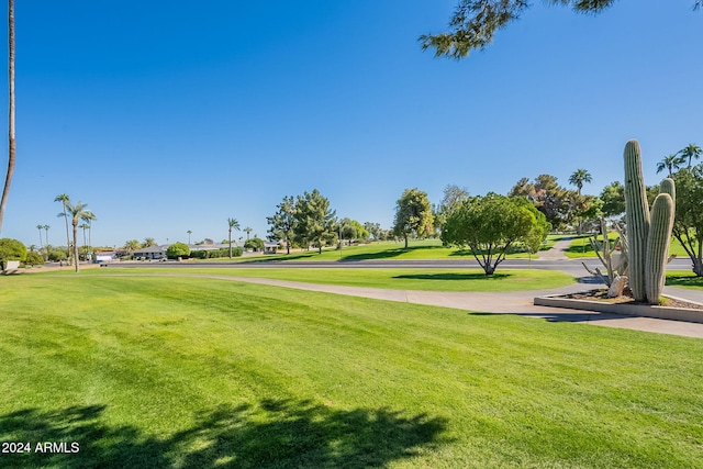 view of community with a lawn