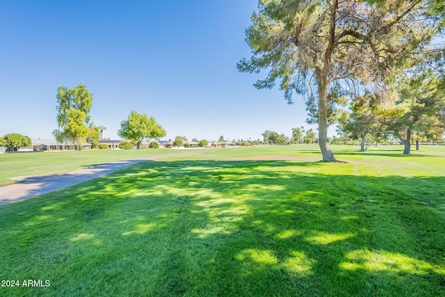 view of community featuring a yard