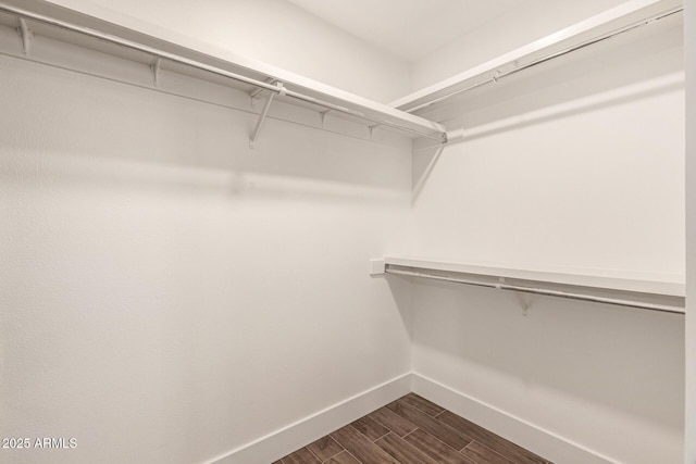spacious closet featuring dark wood-style flooring