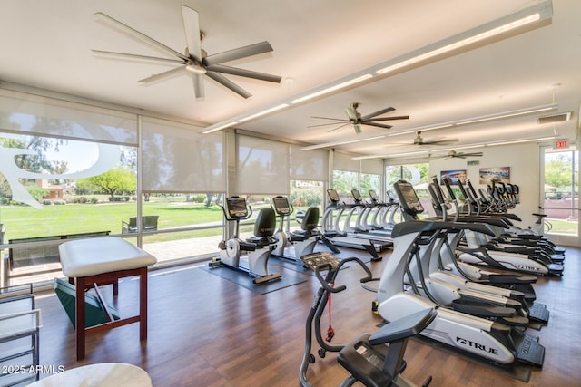 exercise room featuring a wall of windows, a ceiling fan, wood finished floors, and visible vents
