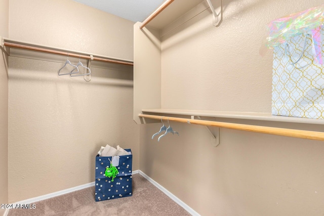 walk in closet with carpet flooring