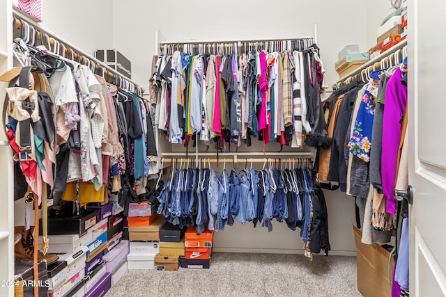 spacious closet with carpet