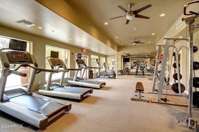 exercise room featuring carpet and ceiling fan