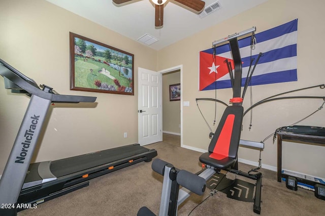 workout area with ceiling fan and carpet floors