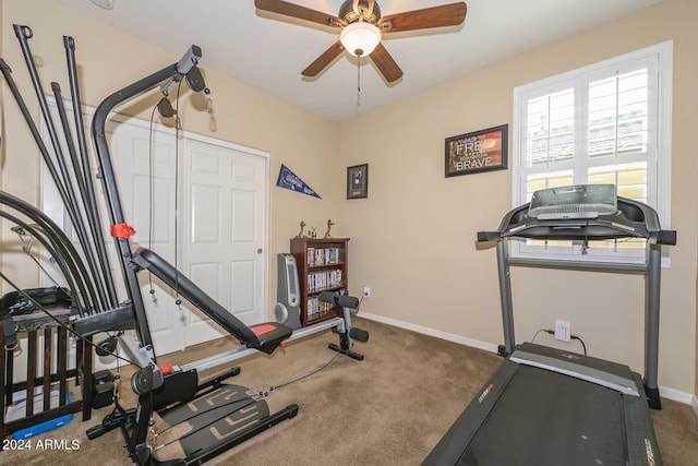 workout room featuring ceiling fan and carpet floors