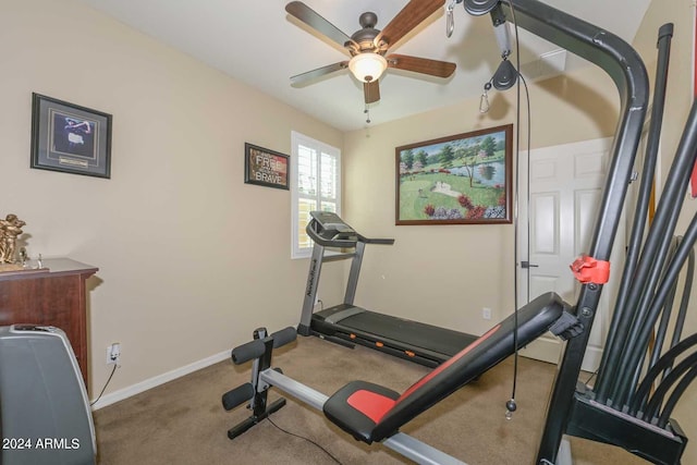 workout room with ceiling fan and carpet floors