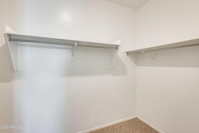 walk in closet featuring carpet floors