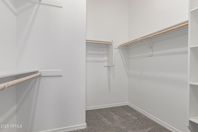 walk in closet featuring dark colored carpet