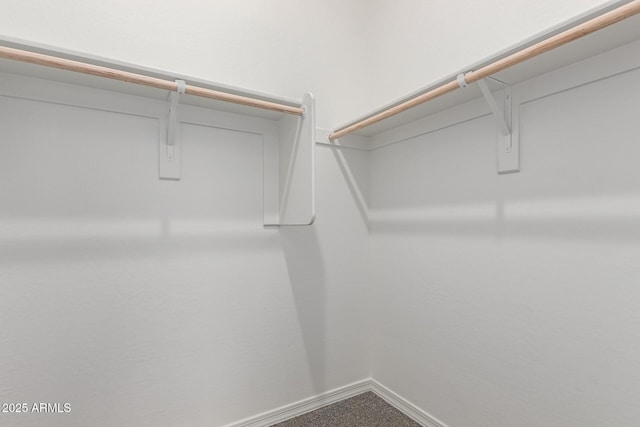 walk in closet featuring carpet flooring