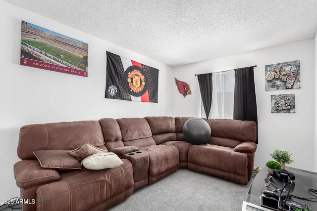 3829 W Camino Del Rio, Glendale, AZ 85310 - carpeted living room featuring a textured ceiling
