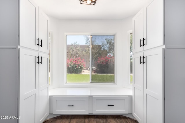 3829 W Camino Del Rio, Glendale, AZ 85310 - mudroom featuring dark wood-style floors