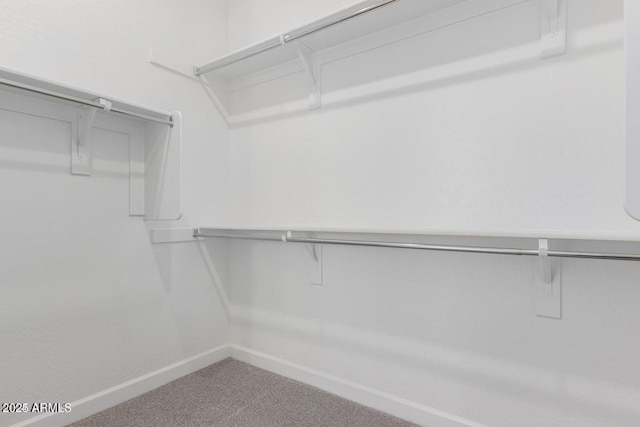 spacious closet with carpet floors