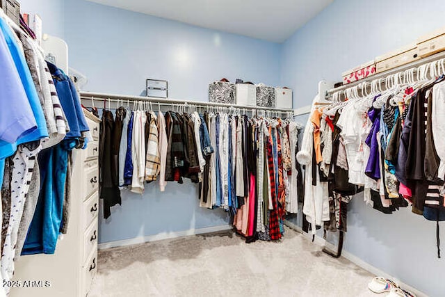 view of walk in closet