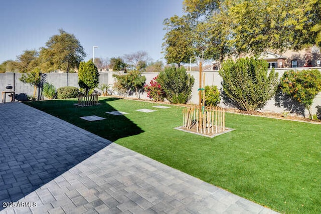 view of yard with a patio