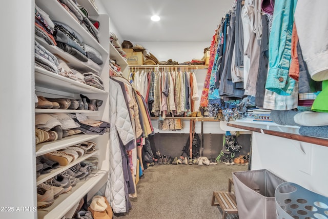 walk in closet with carpet flooring