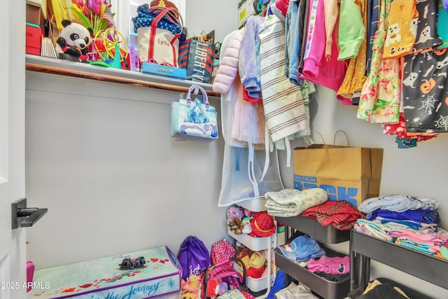 view of spacious closet