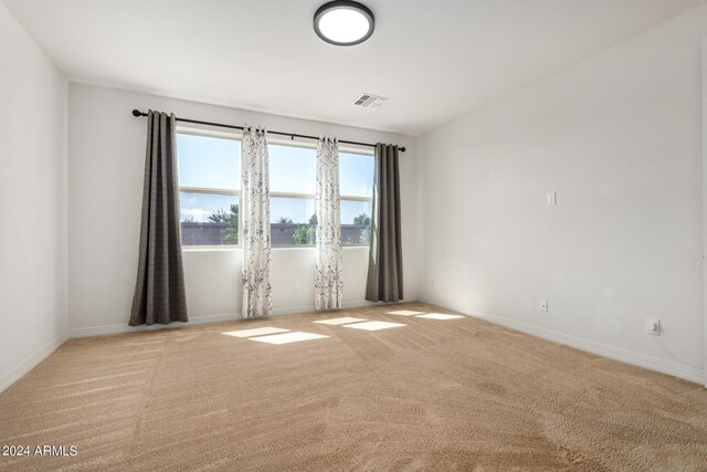 carpeted empty room featuring a wealth of natural light