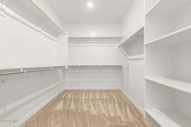 spacious closet with light carpet