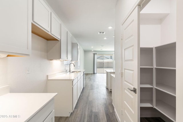 kitchen with white cabinetry, sink, and dark wood-type flooring