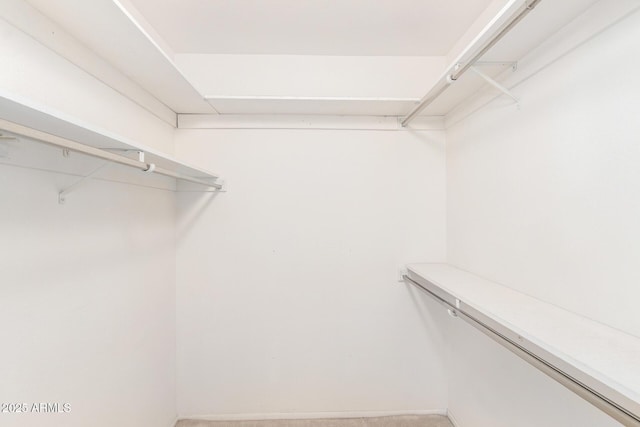 19402 N Welk Dr, Sun City, AZ 85373 - view of walk in closet