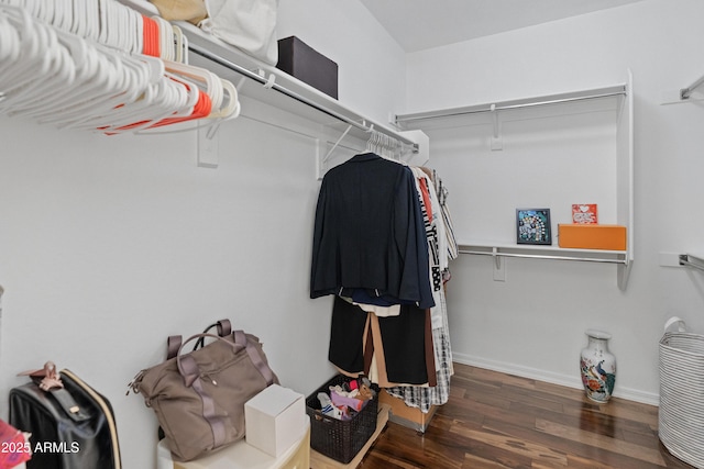3603 E Salter Dr, Phoenix, AZ 85050 - spacious closet featuring wood finished floors