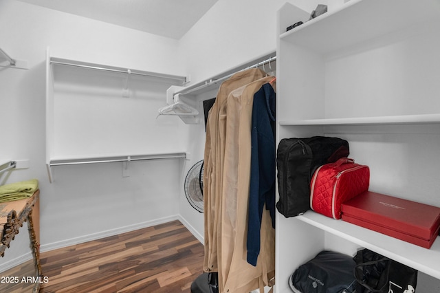 3603 E Salter Dr, Phoenix, AZ 85050 - spacious closet with wood finished floors