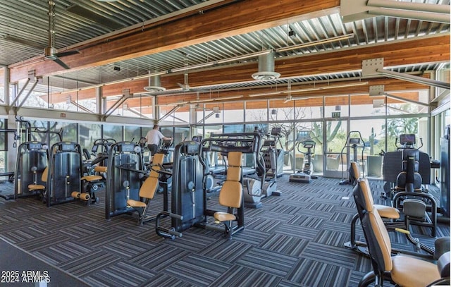 3603 E Salter Dr, Phoenix, AZ 85050 - exercise room featuring a wall of windows and carpet flooring
