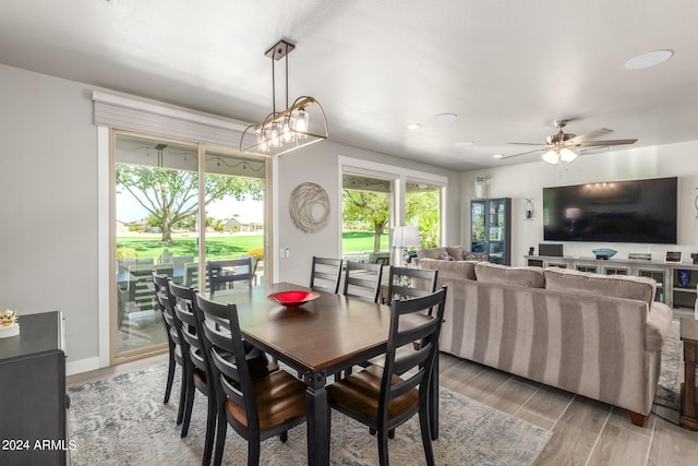 dining room featuring ceiling fan with notable chandelier and hardwood / wood-style flooring