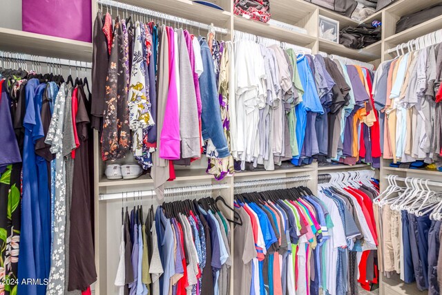 view of spacious closet