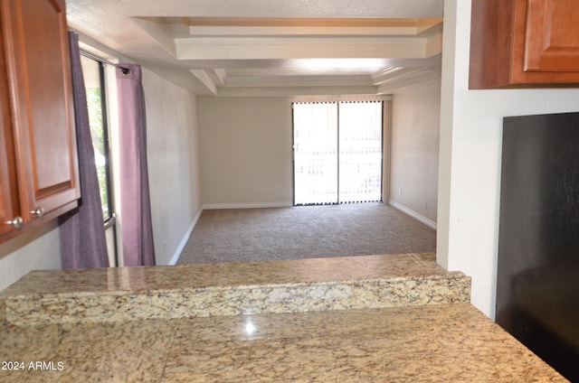 spare room featuring carpet floors, a healthy amount of sunlight, and a textured ceiling