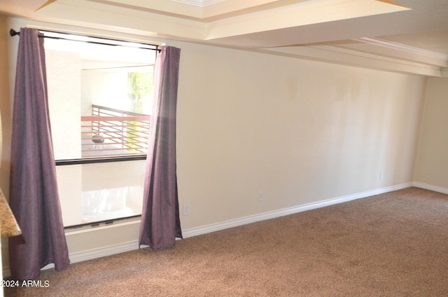 empty room with a raised ceiling, crown molding, and carpet