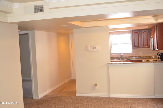 kitchen featuring light carpet, appliances with stainless steel finishes, and sink