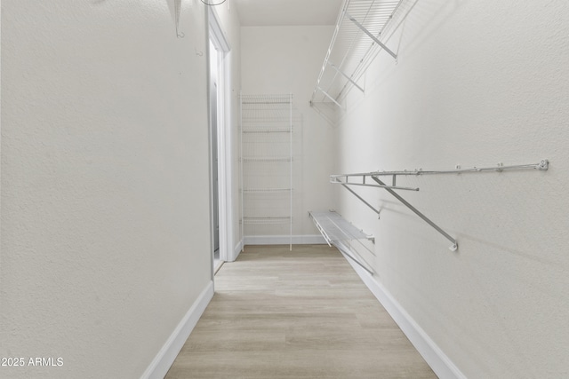 16013 S Desert Foothills Pkwy Unit 2120, Phoenix, AZ 85048 - walk in closet with light wood-style floors