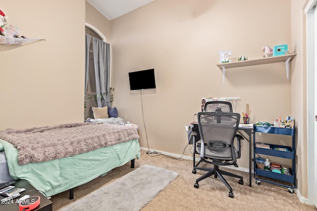 bedroom featuring carpet flooring