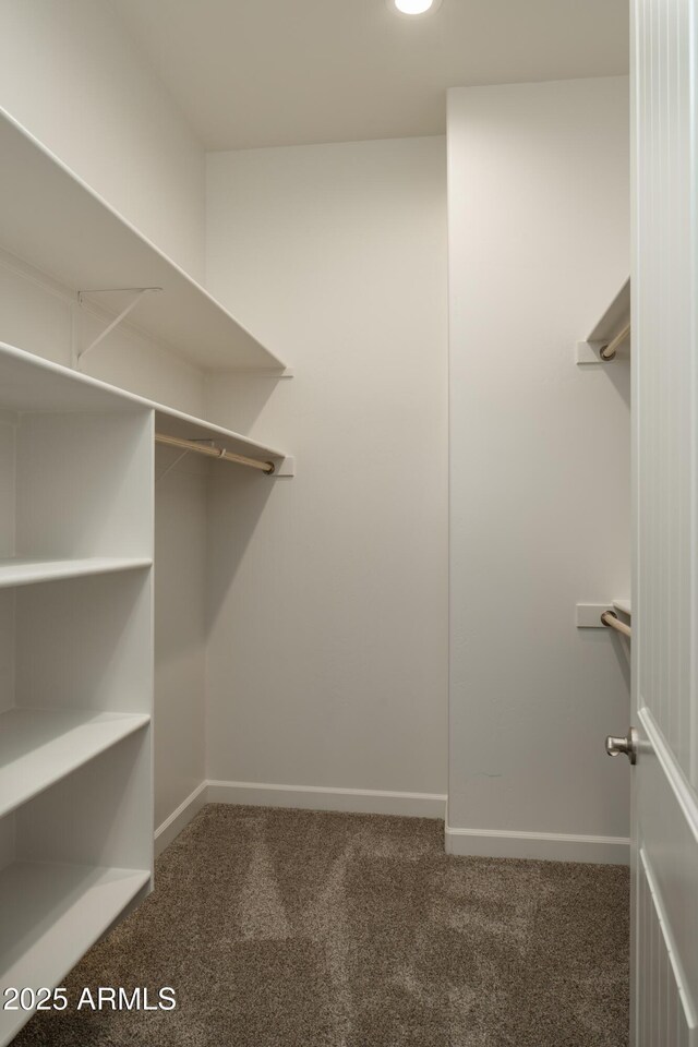 14110 E Hard Rock Rd, Prescott Valley, AZ 86315 - walk in closet with carpet floors