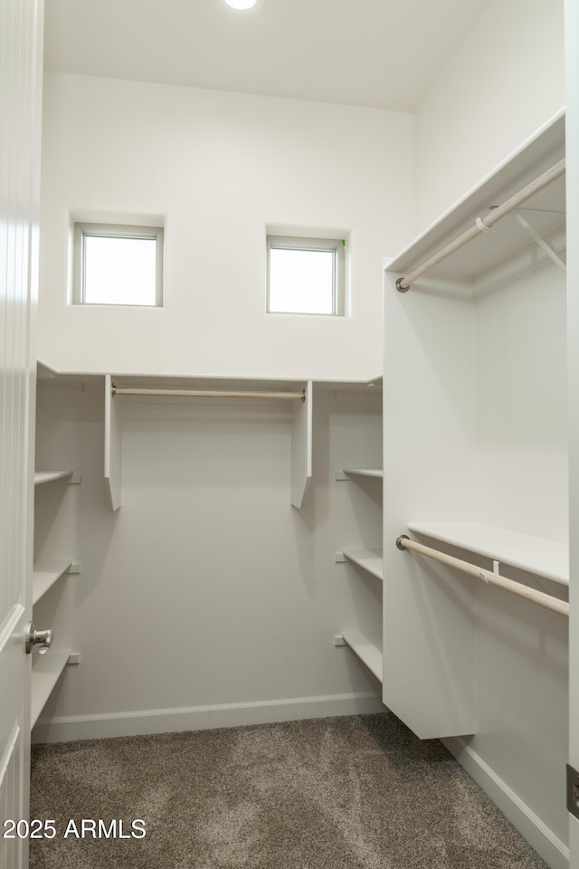 14110 E Hard Rock Rd, Prescott Valley, AZ 86315 - spacious closet with carpet floors