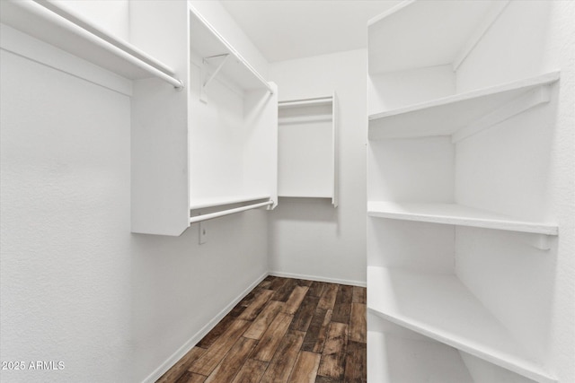 6658 E San Cristobal Way, Gold Canyon, AZ 85118 - spacious closet with dark wood-style floors