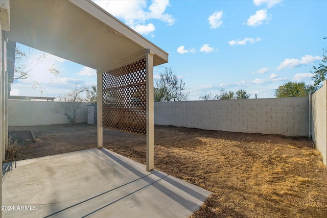 view of yard with a patio