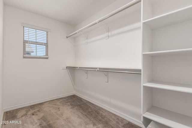 5812 W Illini St, Phoenix, AZ 85043 - spacious closet featuring carpet flooring