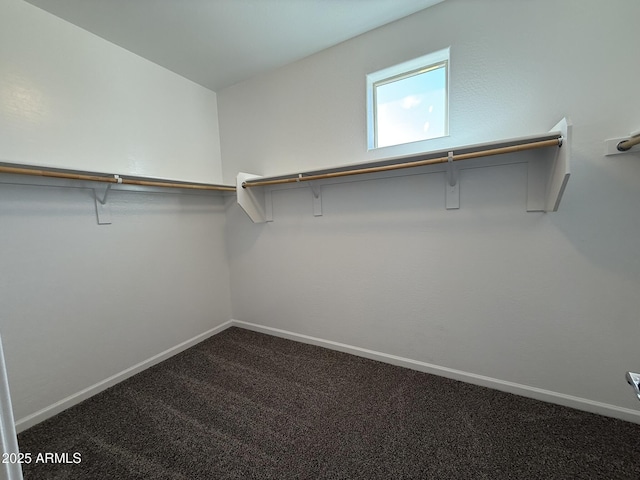 1720 W Pollack St, Phoenix, AZ 85041 - walk in closet with dark colored carpet