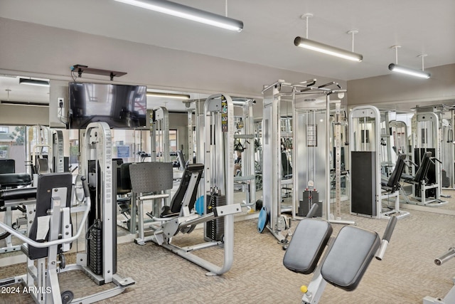 gym featuring carpet