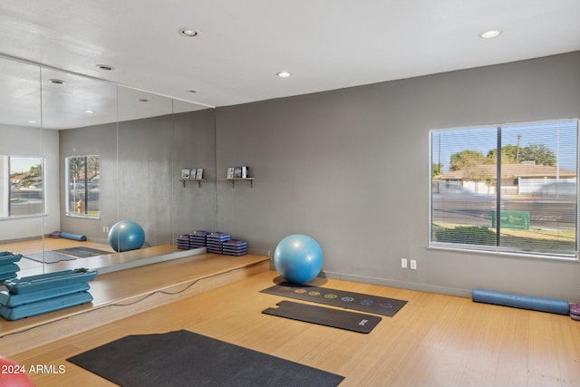 exercise area featuring wood-type flooring