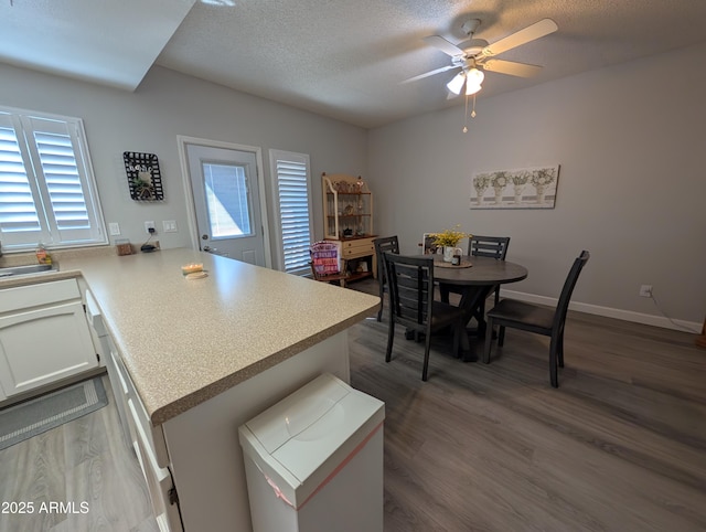 kitchen with plenty of natural light, a peninsula, ceiling fan, and wood finished floors