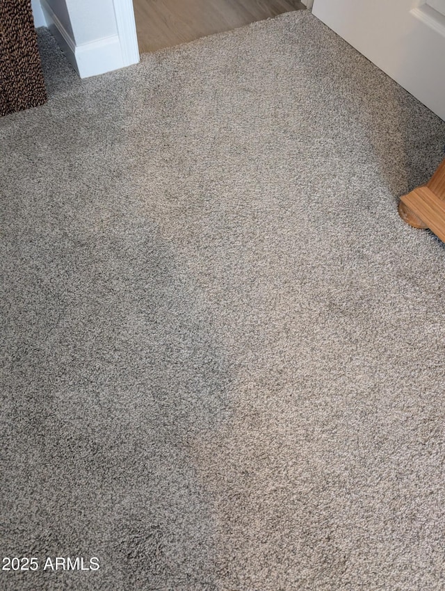 interior details featuring carpet floors