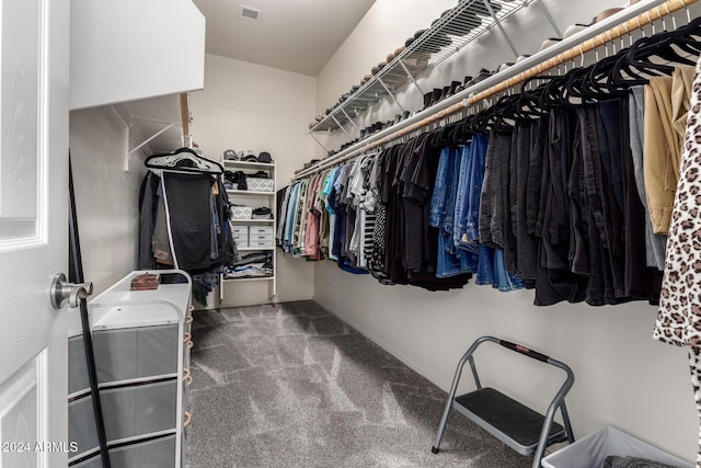 walk in closet with carpet floors