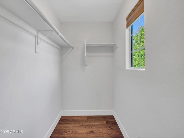 walk in closet featuring wood-type flooring